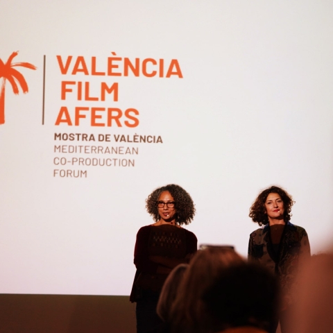 mostra de valencia cinema del mediterrani logo valencia films affairs min